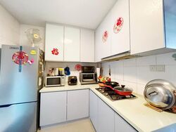 Blk 1C The Pinnacle@Duxton (Bukit Merah), HDB 4 Rooms #540208491